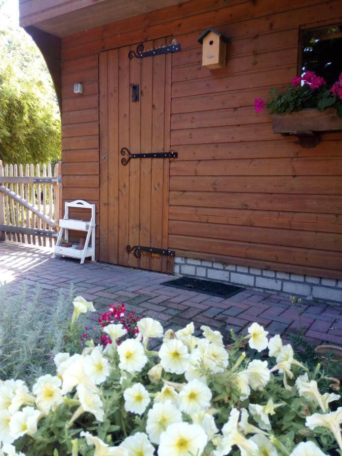 Woodstock B+B Villa Drouwenermond Dış mekan fotoğraf