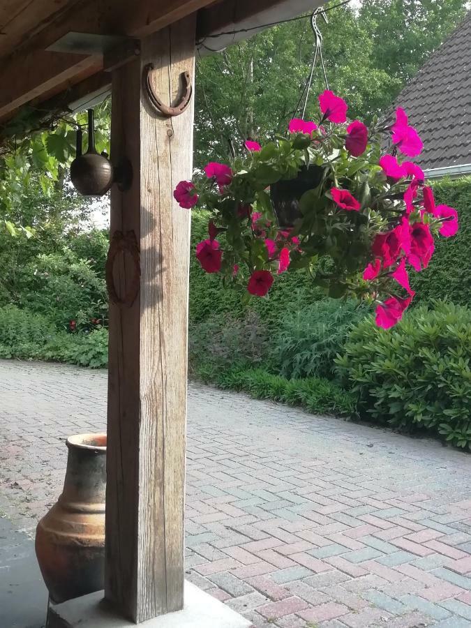 Woodstock B+B Villa Drouwenermond Dış mekan fotoğraf