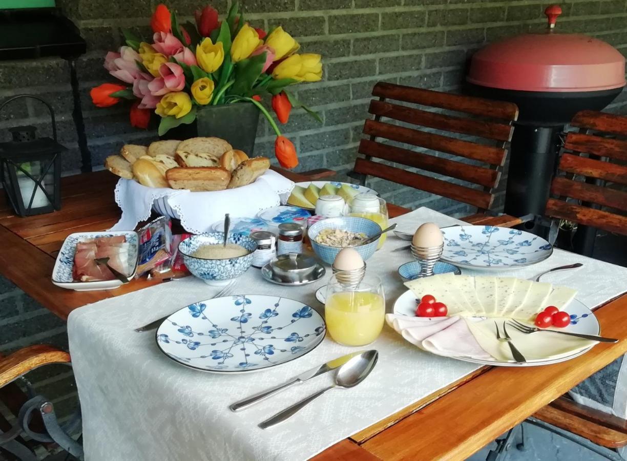 Woodstock B+B Villa Drouwenermond Dış mekan fotoğraf