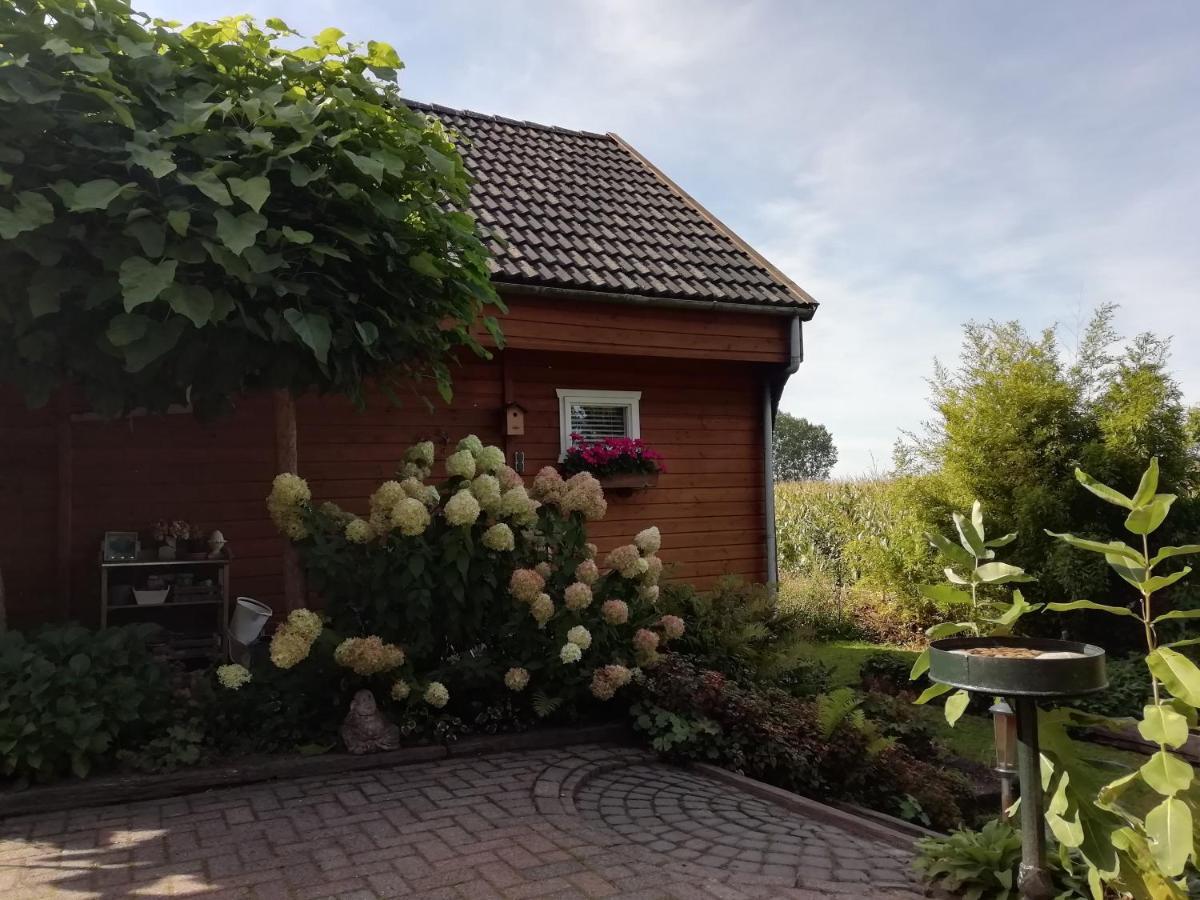 Woodstock B+B Villa Drouwenermond Dış mekan fotoğraf