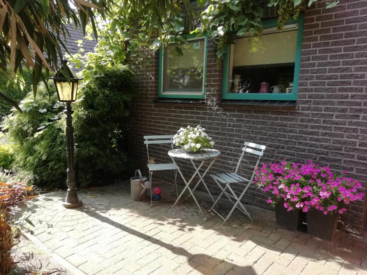 Woodstock B+B Villa Drouwenermond Dış mekan fotoğraf